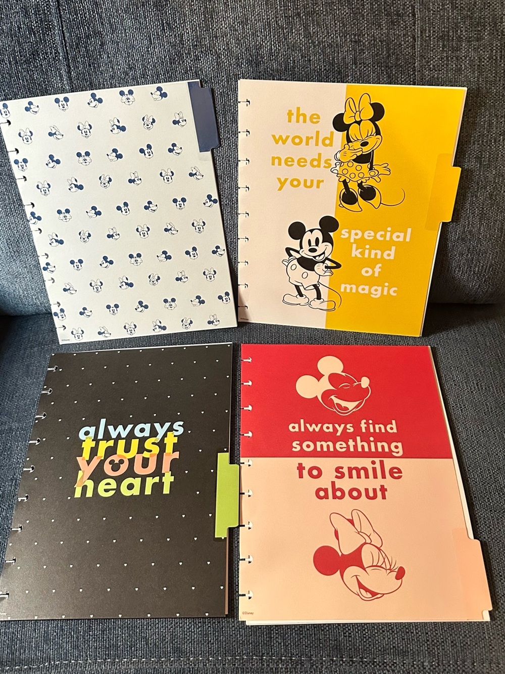Happy Planner Disney Mickey & Minnie 4 Month Classic Undated Extension